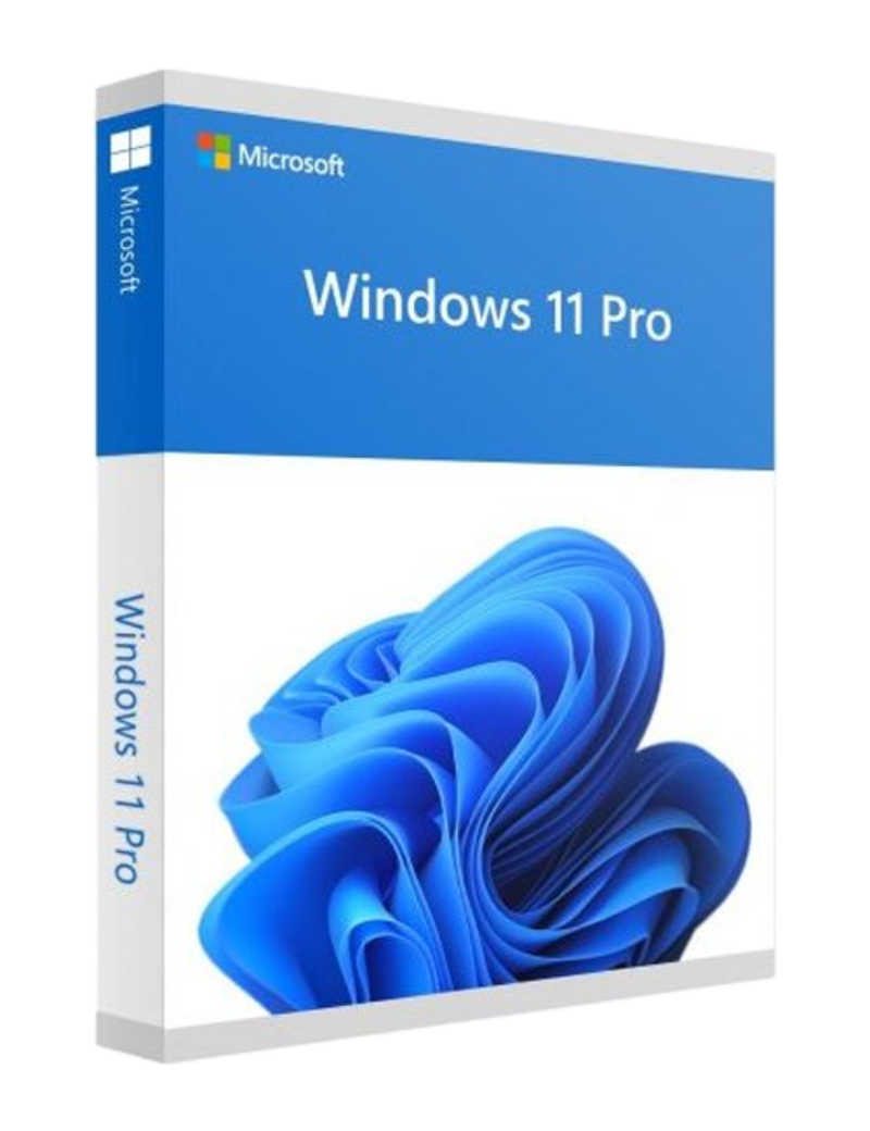 Windows 11 Pro